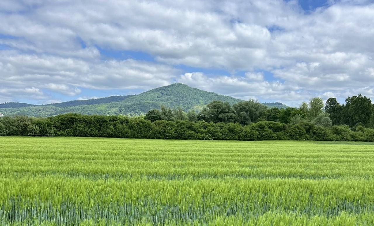 Blick auf die Bergstraße und Melibokus Foto: privat